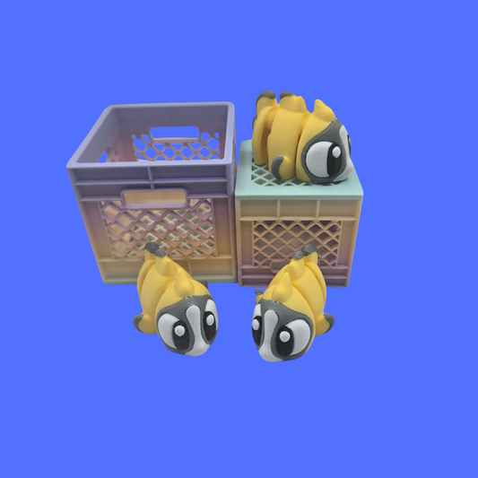 Butterfly Fish